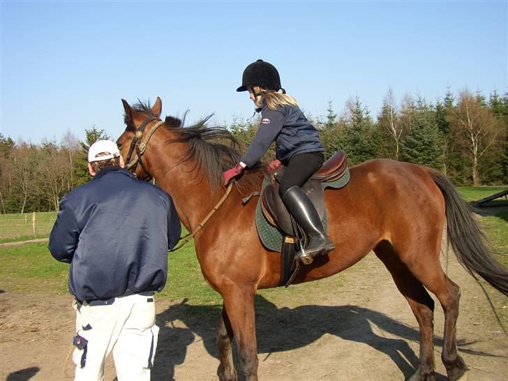 Traver Farina - elsker hende  billede 8