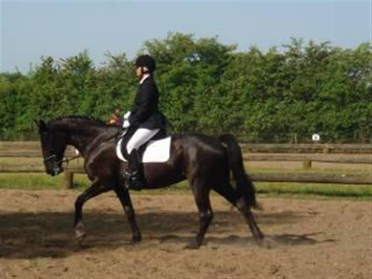 Mecklenburger Lea  - i en lc2  billede 6