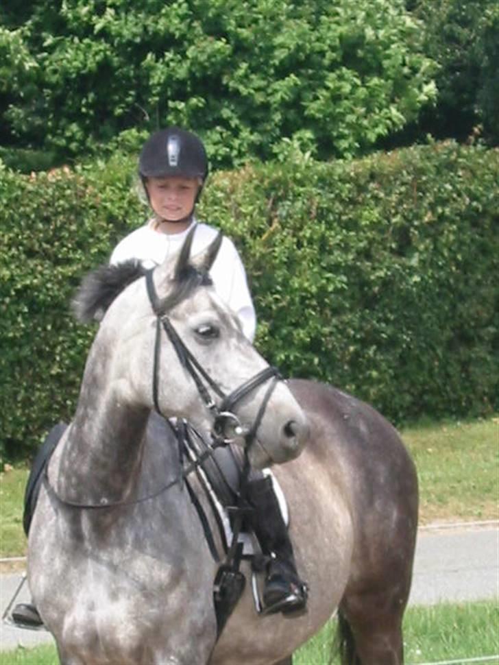 Anden særlig race máshiri †R.I.P† - 12 # Sommer 2005.. vi havde lige fået hende (: billede 12