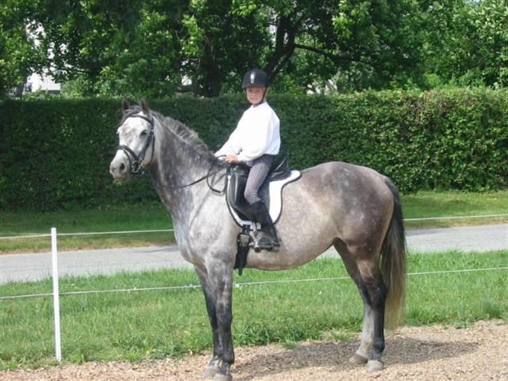 Anden særlig race máshiri †R.I.P† - 13# Sommer 2005.. vi havde lige fået hende (: billede 13