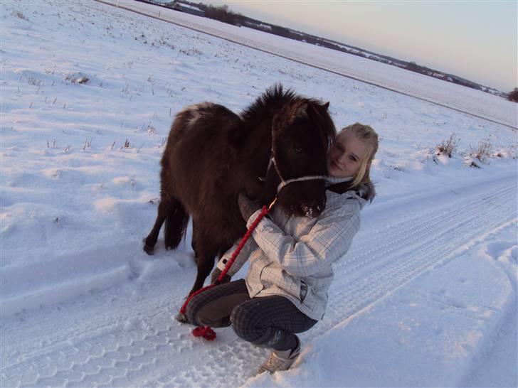 Anden særlig race Krumme(':<3  billede 2