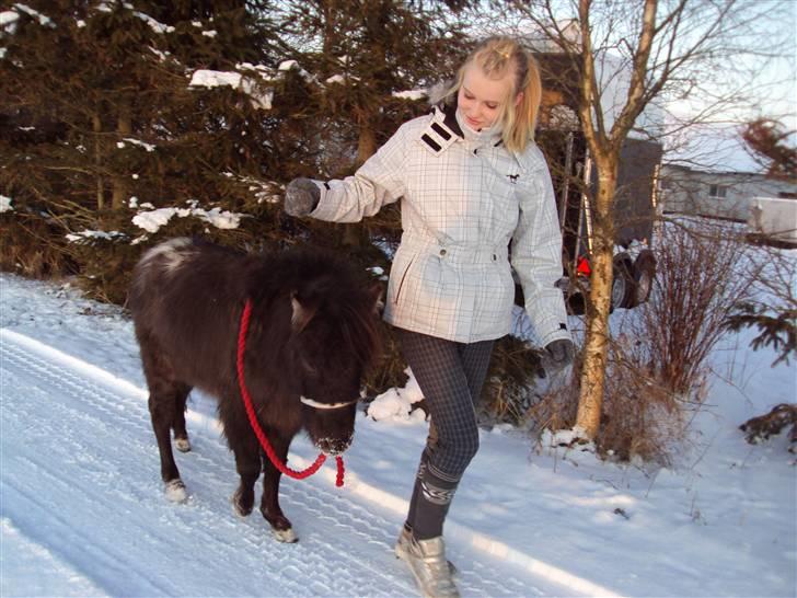 Anden særlig race Krumme(':<3  billede 4