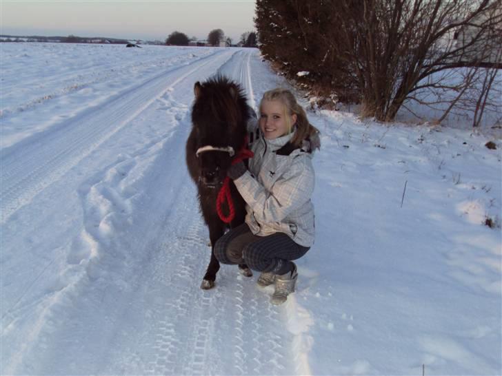 Anden særlig race Krumme(':<3  billede 8