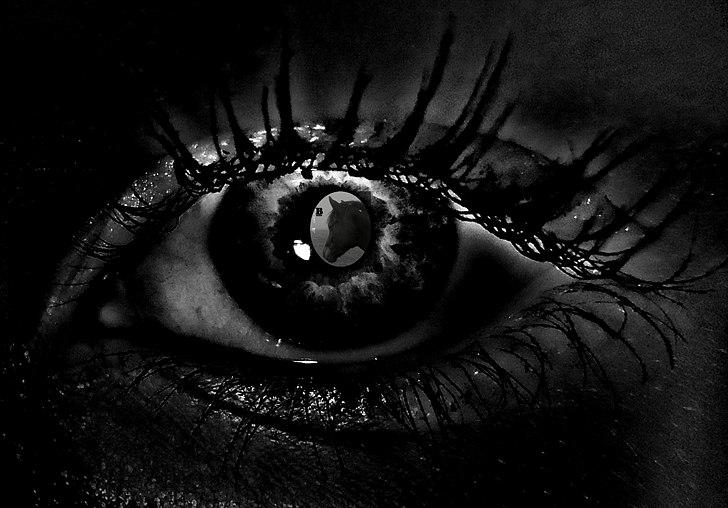 New Forest Hamborgs Bellis "Belle" **SOLGT** - Hamborgs Bellis - Du vil for evigt være min : * mit hjerte tilhører dig :'( billede 9