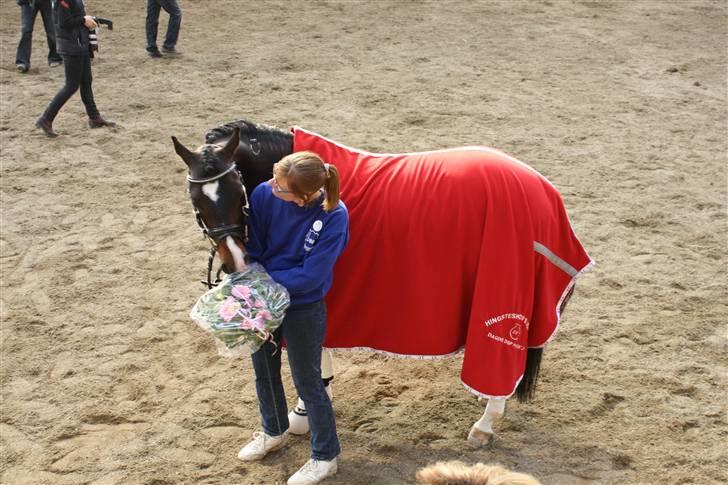 DSP Atlas Stengaard (B-pony) - vallensbæk hingsteshow. Dagens dsp hingst 2009 :) billede 7