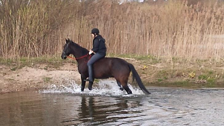 Traver zeb, R.I.P :'( ILY - billede, 11 . mig og zeb . fotogarf .mor (: billede 11