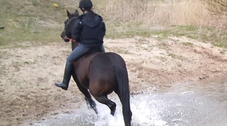 Traver zeb, R.I.P :'( ILY - billede , 12 . så har vi endelig været i vandet (: fotogarf . mor (: billede 12