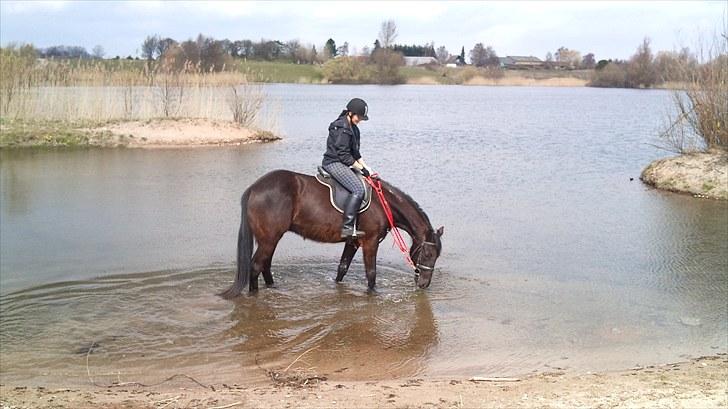 Traver zeb, R.I.P :'( ILY - billede, 13 . mega hygge dag, nede ved vandet (:. fotogaf . mor (; billede 13