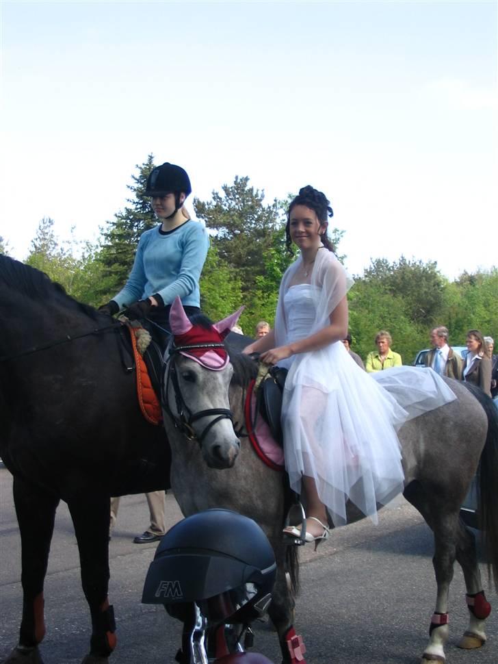 Anden særlig race Chanel * SOLGT * R.I.P :( - fik Chanel i konfimations gave, så lige et billede af mig og hende(: billede 14