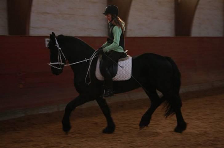 Frieser Ritsert - Ritte - 14. skatter:´* billede 14