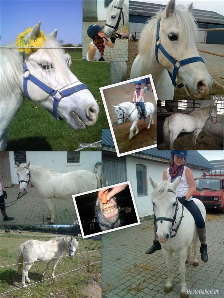 Anden særlig race Jack (SAVNET)  - Frederikke har lavet det til mig <33 :D  billede 18