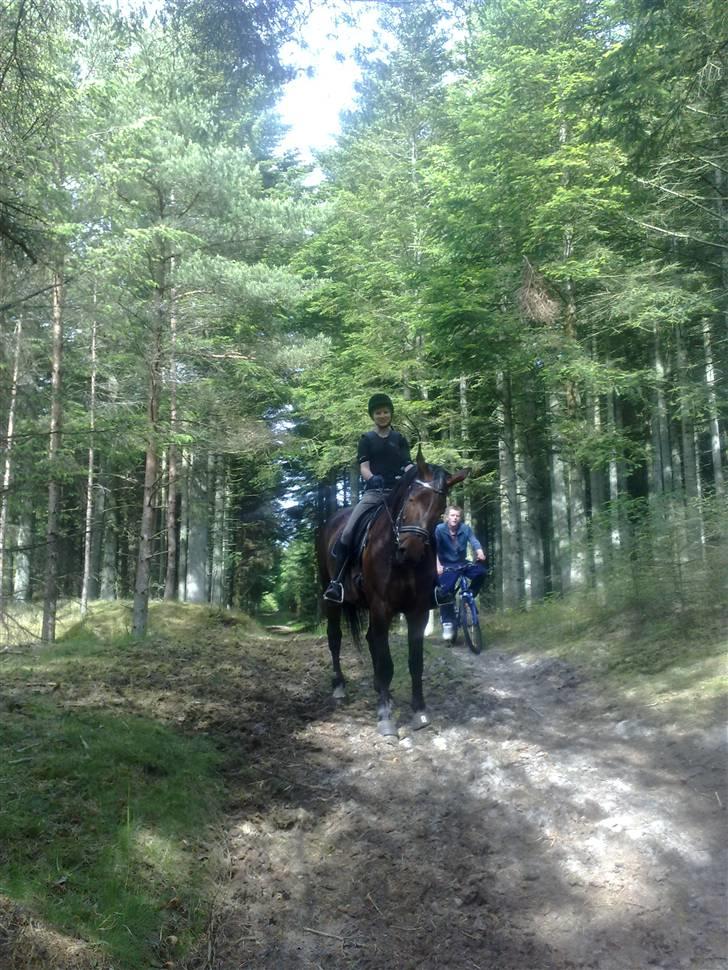 Oldenborg odessa - 2 gang i skoven - det er nogle vilde ture det ses bare ikke på billedet! billede 13