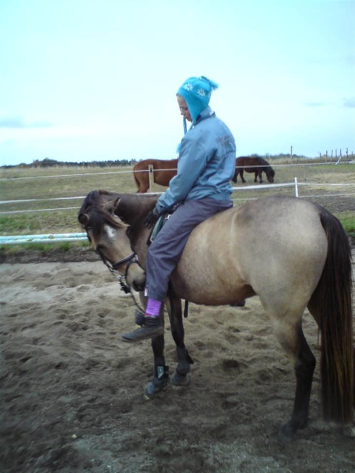 Anden særlig race Jasmina :* billede 5