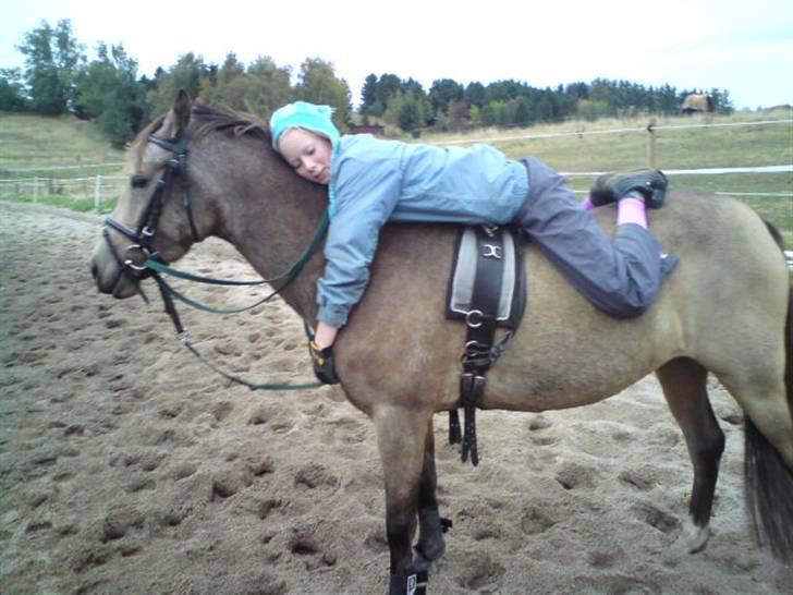 Anden særlig race Jasmina :* billede 6