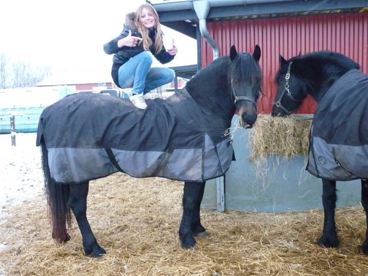 Frieser .- My Fear Lady -. billede 11