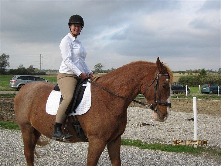 Frederiksborg Mads (rip) billede 14