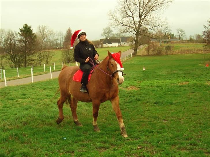 Frederiksborg Mads (rip) billede 16