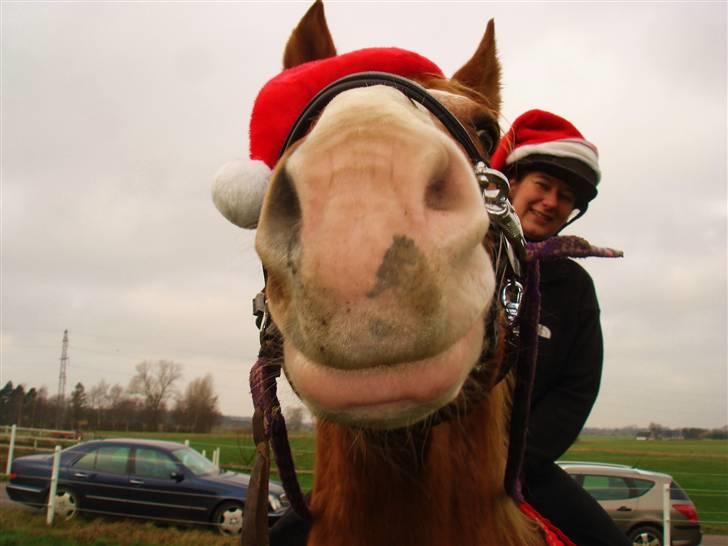 Frederiksborg Mads (rip) billede 17