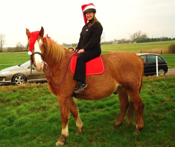 Frederiksborg Mads (rip) - og julen varer lige til påske :-) billede 18