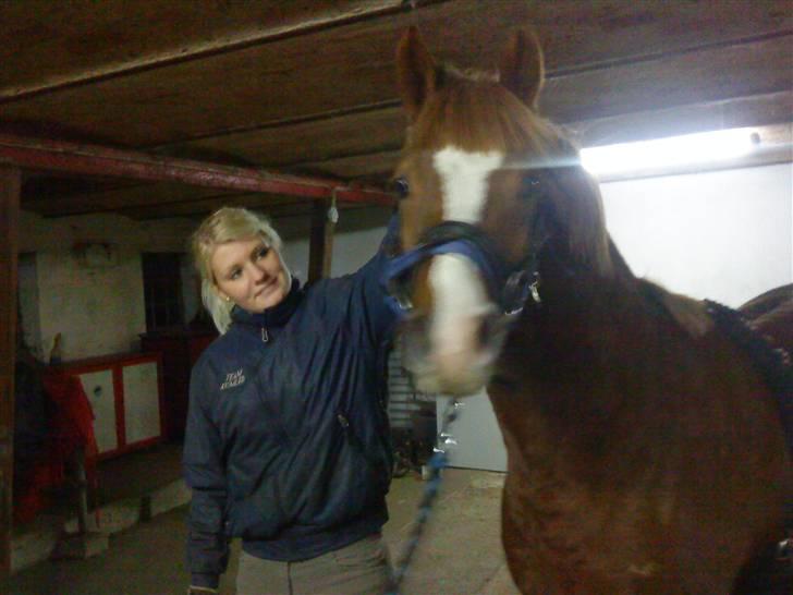 Anden særlig race Junior Charkiro billede 9