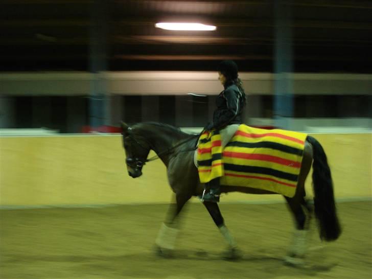 Oldenborg Dina Houmann  R.I.P <'3 - Nyesten fra den 4/1-10 billede 14