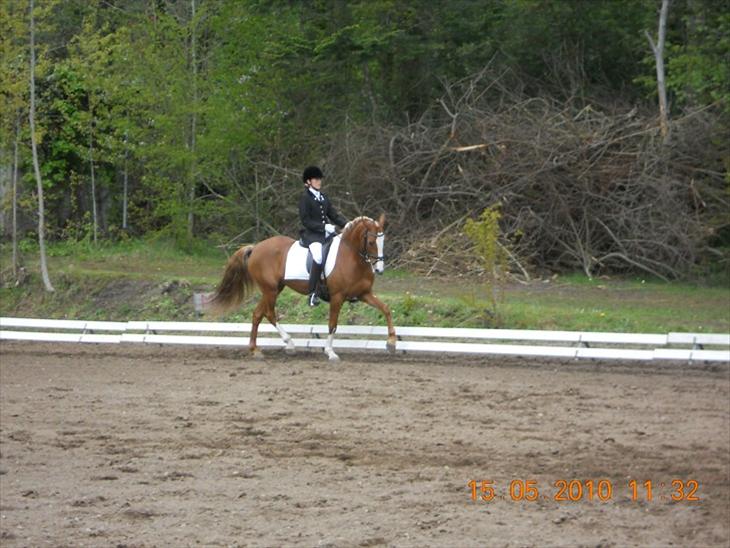 {{currentPhoto.altText}} billede {{currentPhoto.number}}