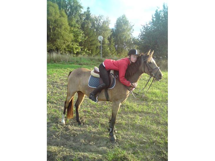 {{currentPhoto.altText}} billede {{currentPhoto.number}}