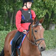 Anden særlig race Careas  solgt