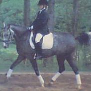 Anden særlig race Aladin 