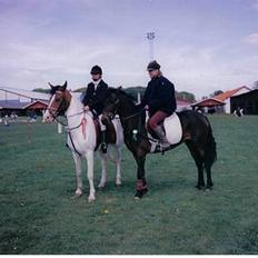 Pinto .... pinto... + 2011+