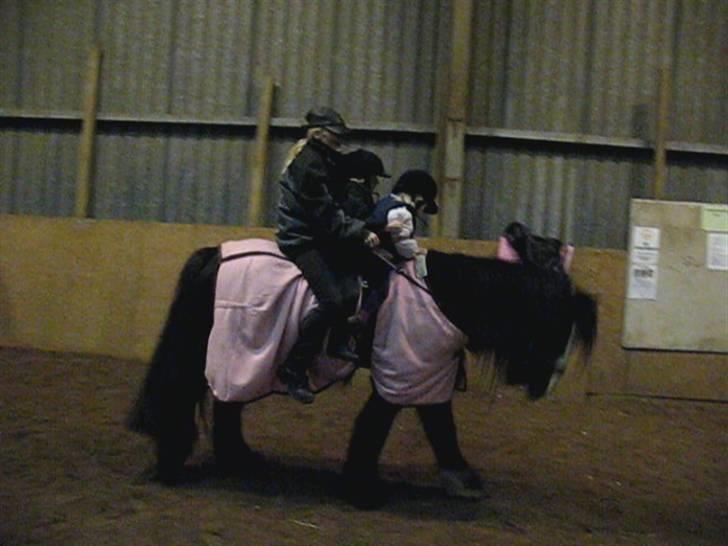 Tinker Lindholms Figaro solgt billede 6