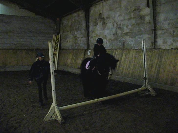 Tinker Lindholms Figaro solgt billede 7