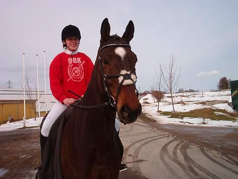 Hannoveraner Aktiv Igen (DØD) billede 17