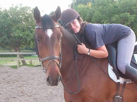 Hannoveraner Aktiv Igen (DØD) billede 18