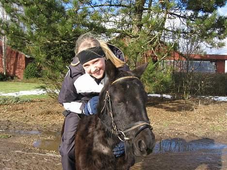 Anden særlig race Lady  billede 3