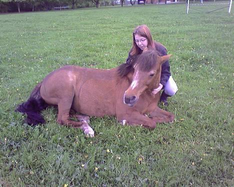 Anden særlig race »Freja <3 « † Sov sødt † - Årh <3 Ægte kærliqhed . Elsker den pony, hun for dejlig (: <3 billede 17