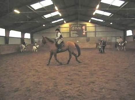 Anden særlig race Red Power *DøD* - Power og mig til sponsor springning! billede 5