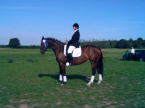 Trakehner Hillary *R.I.P* - Fra Næstvæd, fik en 2. plas.... © Loús Foto billede 4