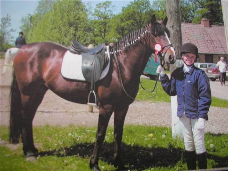 Connemara Hovfelds Cover Girl - mig og Cover til vores 3 stævne :) vandt :) hehe da vi sadlede hende af kom der et ældre par og bød 65.000 for hende :O OMG..! billede 4