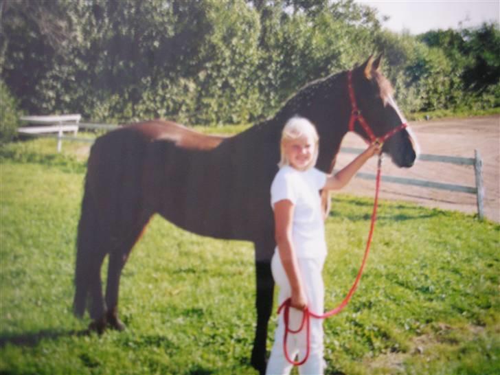 Connemara Hovfelds Cover Girl - her er mig og Cover efter et af vores første stævner! :) fik en førsteplads :D elsker bare det billed <3 billede 5