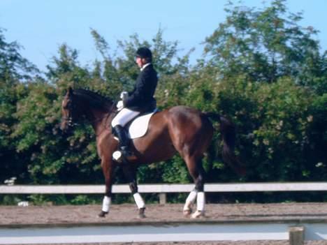 Trakehner Hillary *R.I.P* - Et bilede fra et stævne, hun fik en 2. plas... © Loús Foto billede 6