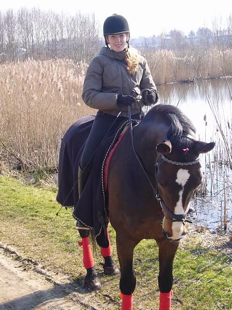 Hannoveraner ¤Sir Wilson¤<3 aflivet:(  - Min dejlige hest og jeg på tur til søen:) sammen med anja og mons:P! dejlig tur billede 9
