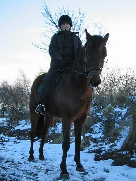 Anden særlig race Sebastian<'3 solgt:'( - Iih, Sebastian & jeg efter en af vores første rigtige rideture sammen (: Han er bare såå fin!<33 billede 20