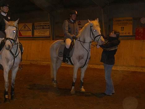 Anden særlig race unicorn(solgt) - uni fik en 1. plads til sin sidste 0 runde i Mb (metode B1) billede 9