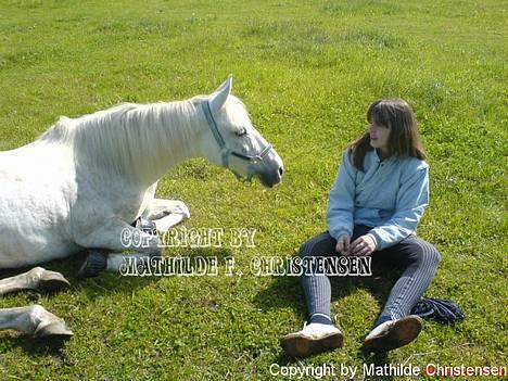 Anden særlig race SASCHA COLUMBINE - Jeg fortæller hende hvor højt jeg elsker hende <3 || Jeg kunne virkelig ALT med den pony    Fotograf: Pernille <3 billede 9