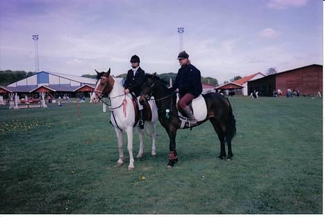 Pinto .... pinto... + 2011+ billede 3