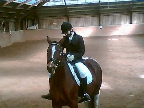 Pinto pocahontas - her hilser vi af og poca har travlt med alt andet.... billede 7