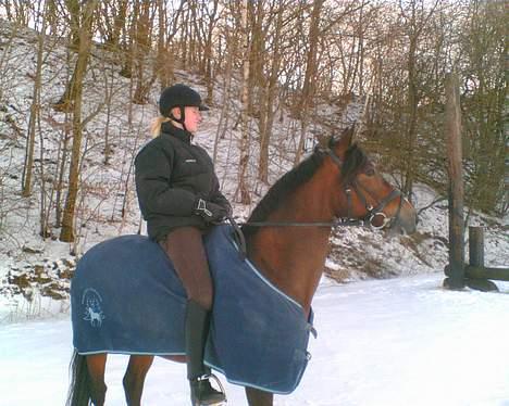 Connemara Hovfelds Cover Girl - Cover og mig i sneen billede 8