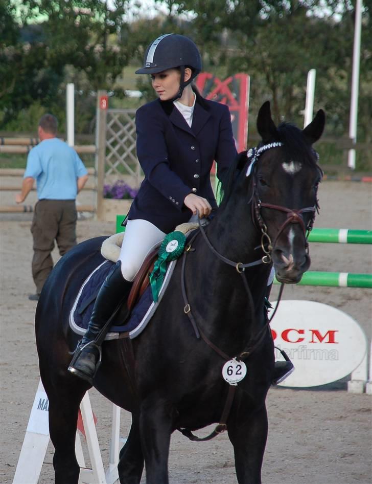 Hollandsk Varmblod Kastan - Nr. 4 Fynsmesterskab for juniore. billede 16