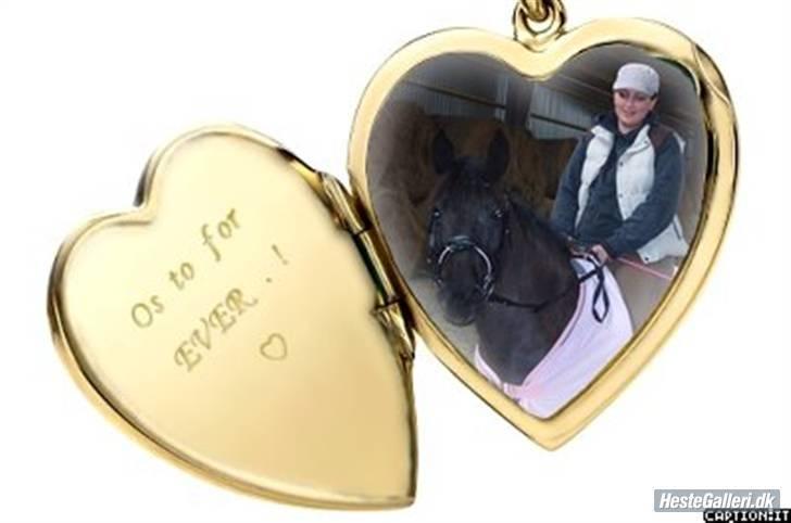 Anden særlig race Lola (Bedste Pony min) :D billede 19